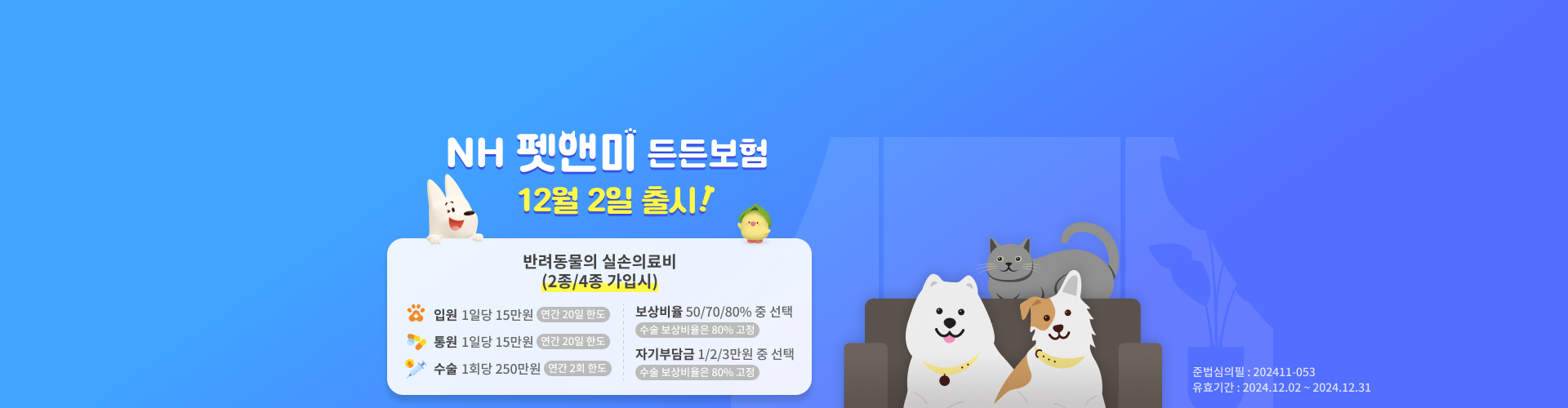 팻앤미든든보험 출시