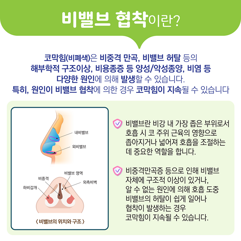 비밸브 협착이란? 상세내용 하단참조